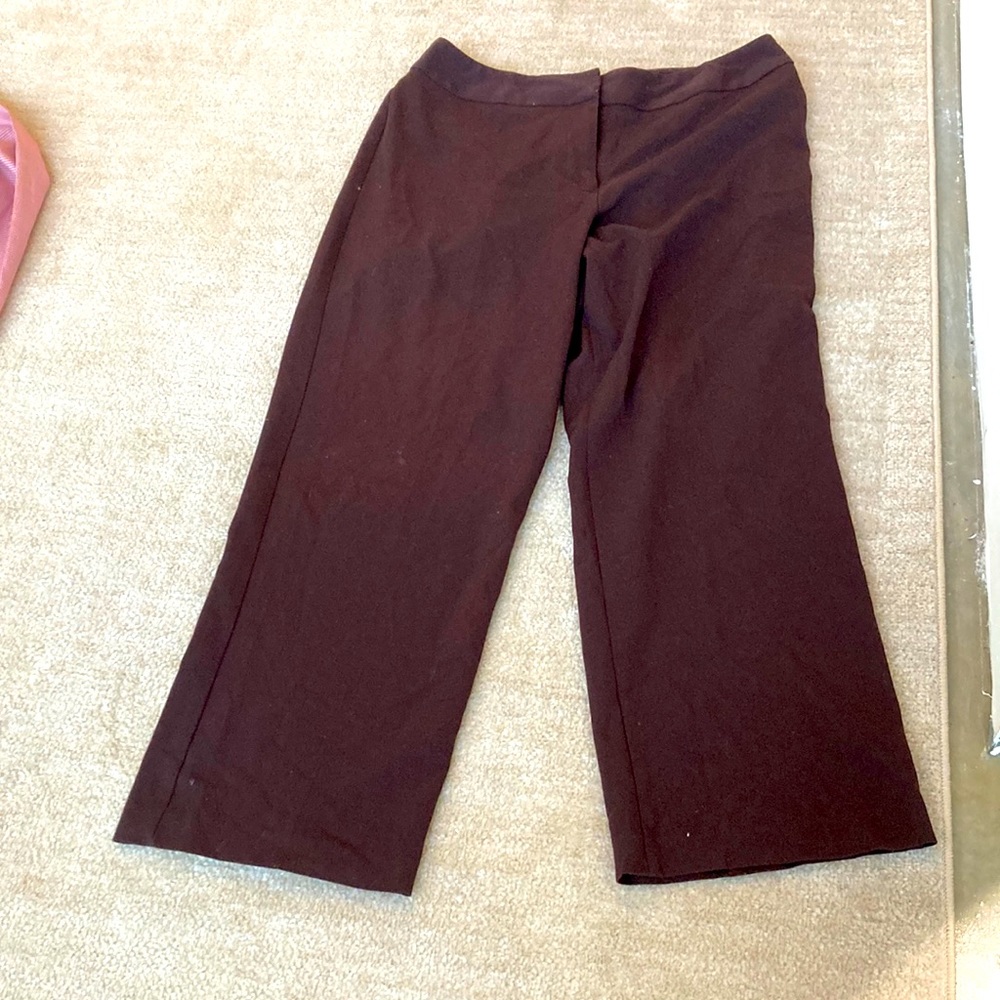 5/$35 investments petite size 16p Excellent condition Brown career pants.